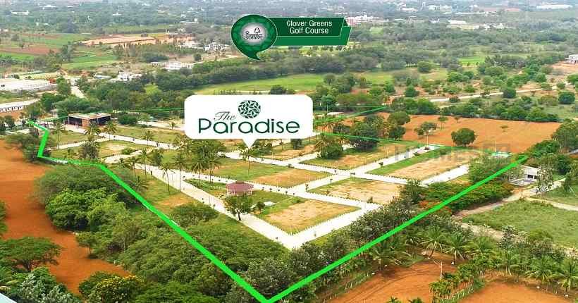 Ozone The Paradise-cover-06
